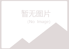 五大连池沉淀化学有限公司